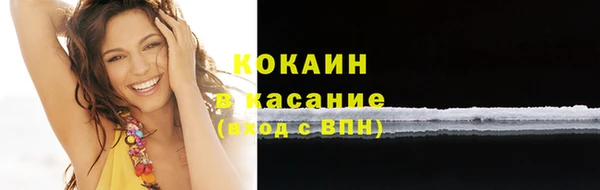 PSILOCYBIN Ладушкин