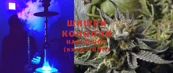 PSILOCYBIN Ладушкин